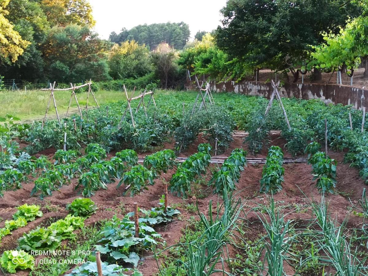 Finca Vergel Gata Bagian luar foto