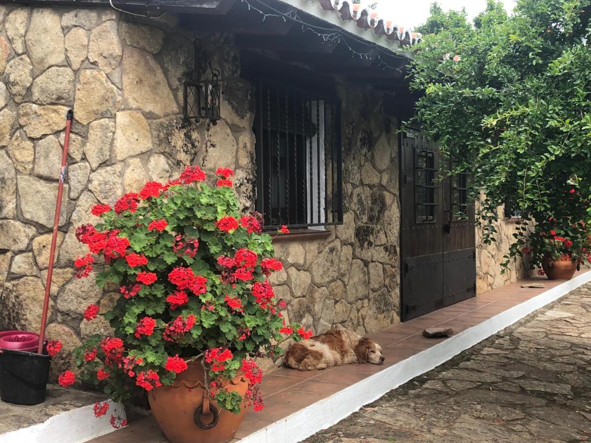 Finca Vergel Gata Bagian luar foto
