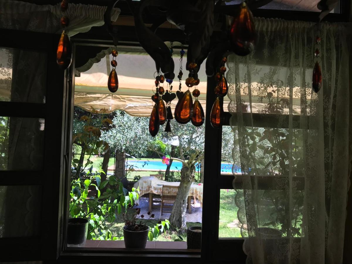 Finca Vergel Gata Bagian luar foto