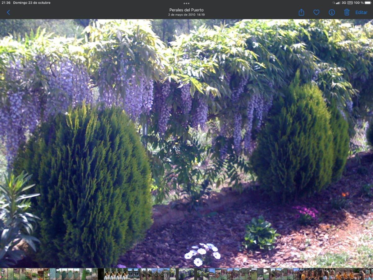 Finca Vergel Gata Bagian luar foto