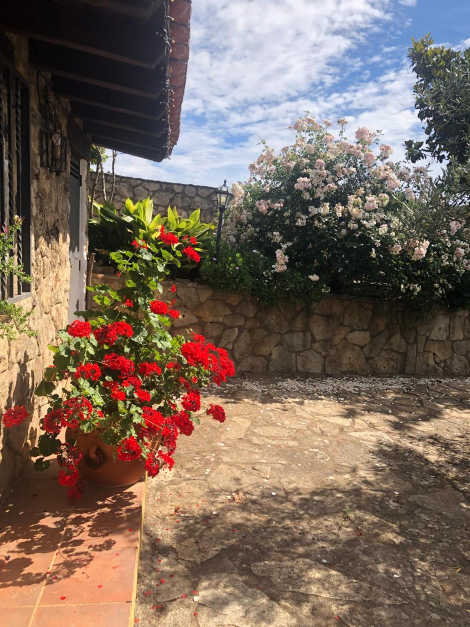 Finca Vergel Gata Bagian luar foto