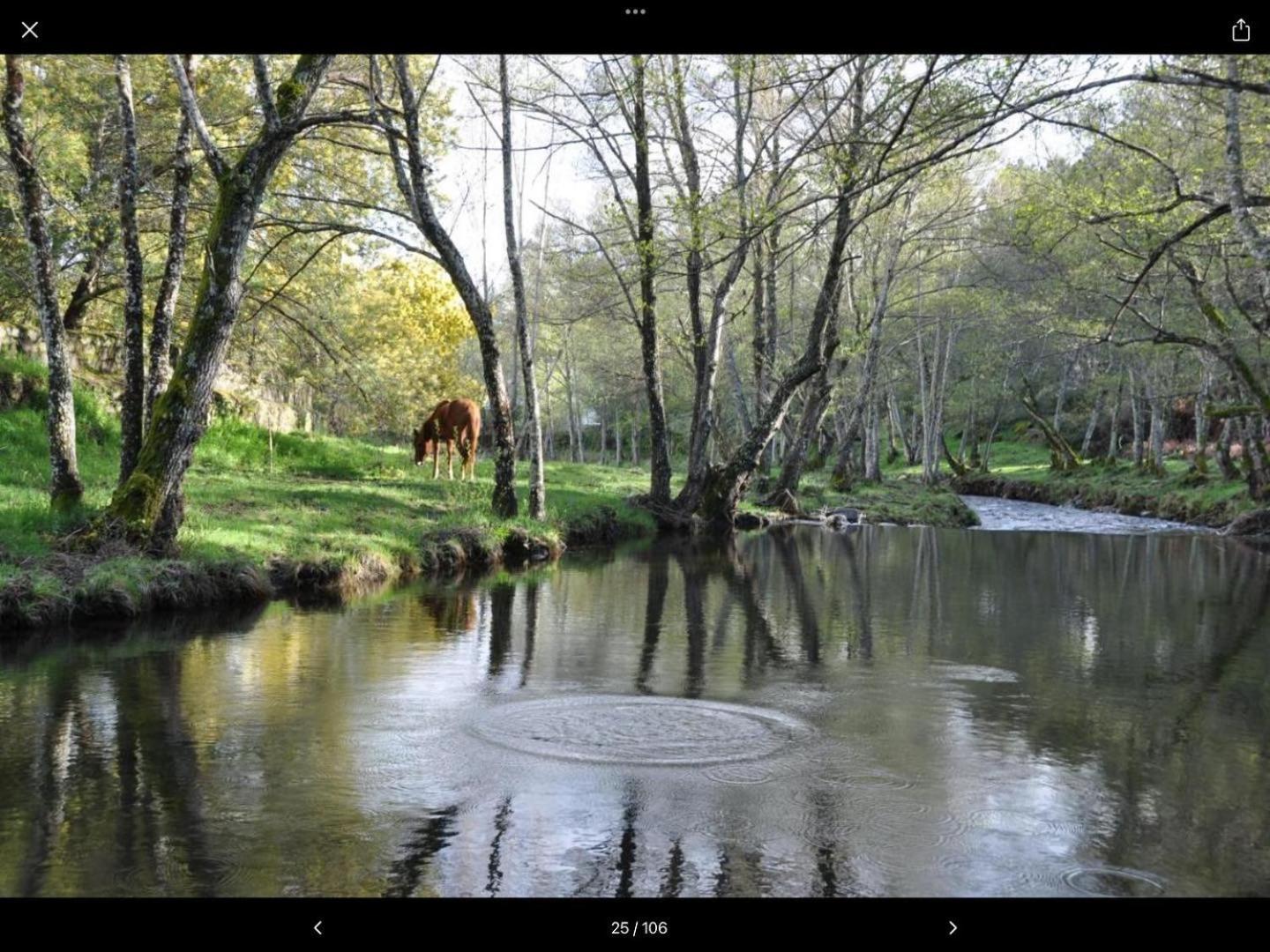 Finca Vergel Gata Bagian luar foto